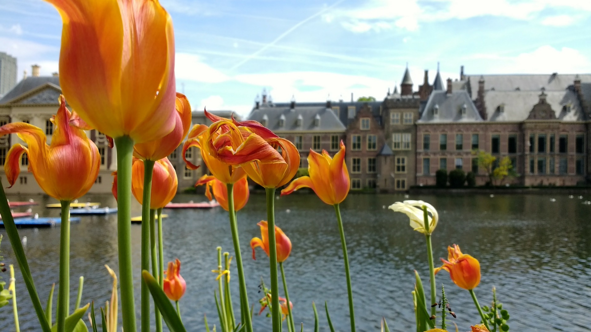 The Dutch Parliament is in Den Haag, but it is not the capital